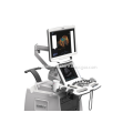 4D Ultrasound  Diagnostic System